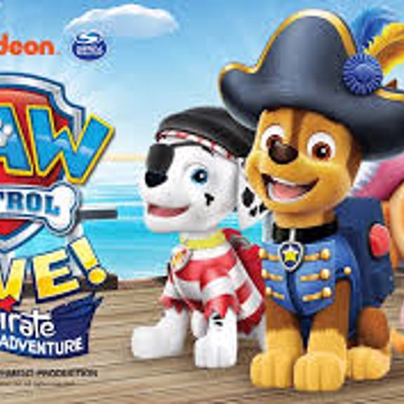 Paw Patrol Banner